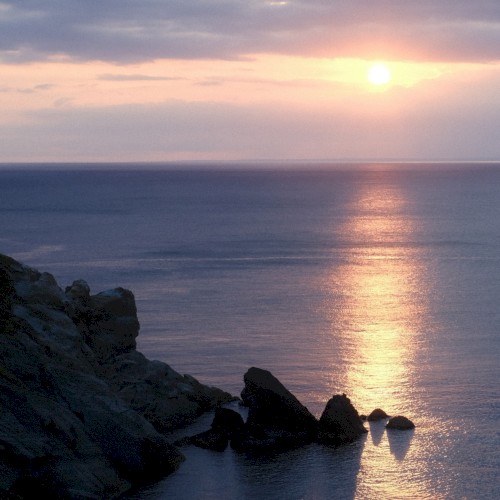 Izu Ambient 033