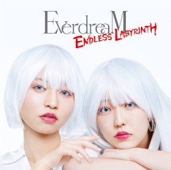 ENDLESS LABYRINTH
