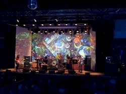 Fuzz Fest 2021