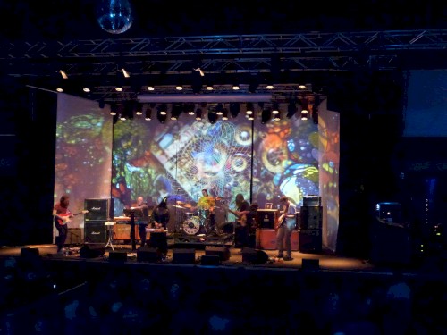 Fuzz Fest 2021