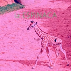 la E$PiNACA