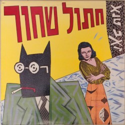 חתול שחור