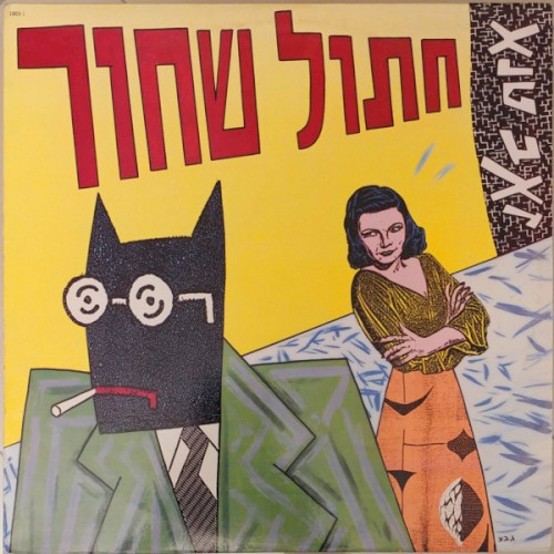 חתול שחור