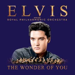 The Wonder of You