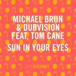 Sun In Your Eyes