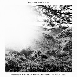 Field Recordings #1