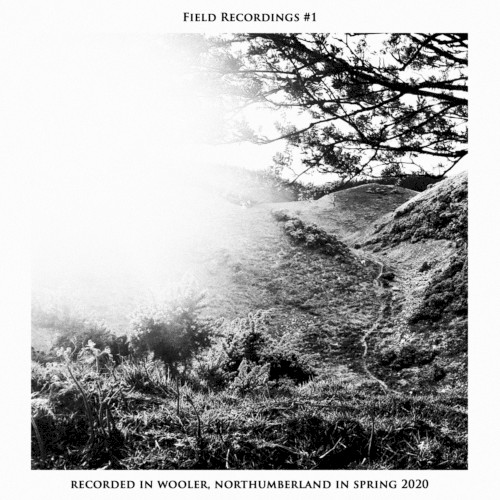 Field Recordings #1