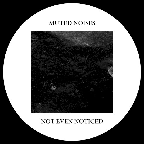 Muted Noises
