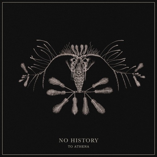 No History