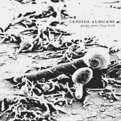 Candida Albicans