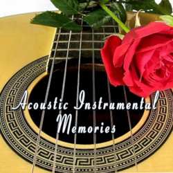 Acoustic Instrumental Memories