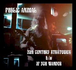 20th Century Strategies b/w If You Wander