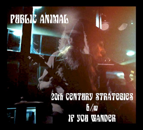 20th Century Strategies b/w If You Wander