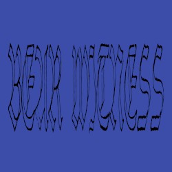 Bear Witness