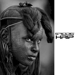 Krip