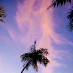 Moments Of Relaxation