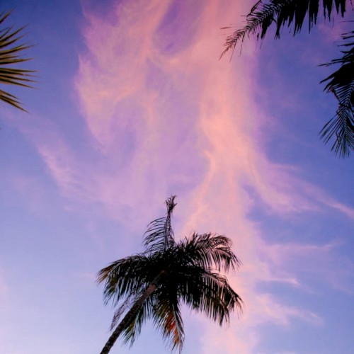 Moments Of Relaxation