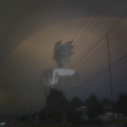 haunting my dreams
