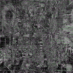 Stalk Market / ELEKTR0BATH