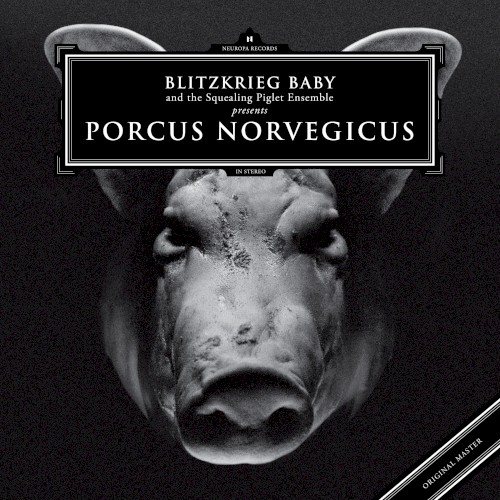 Porcus Norvegicus