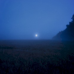 forgotten dreams