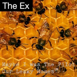 Maybe I Was the Pilot / Our Leaky Homes
