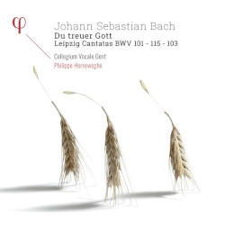 Du treuer Gott: Leipzig Cantatas BWV 101 / 115 / 103