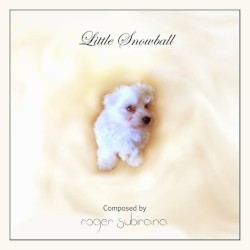 Little Snowball
