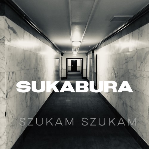 Szukam szukam