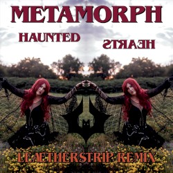 Haunted Hearts (Leæther Strip remix)