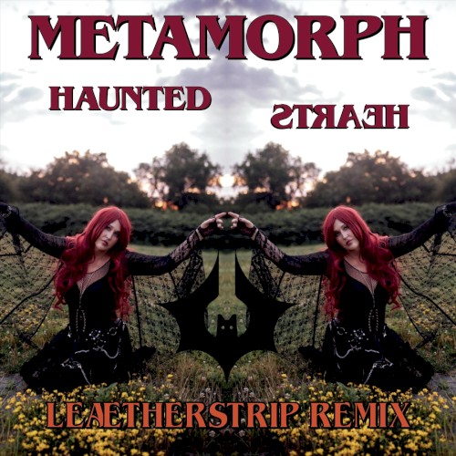 Haunted Hearts (Leæther Strip remix)