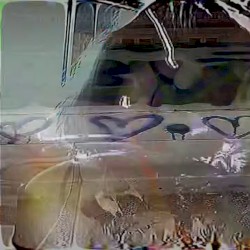 thee spider path