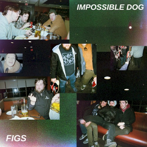 Figs