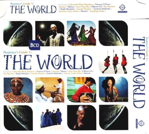 Beginner’s Guide to the World