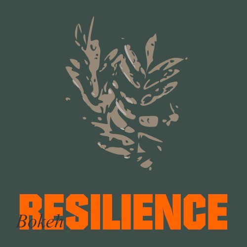 Resilience