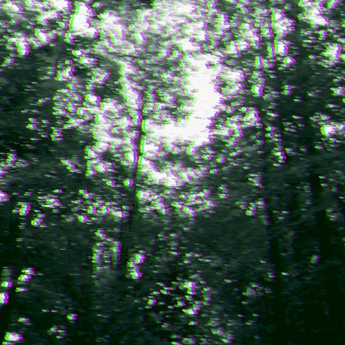 RGB Forest