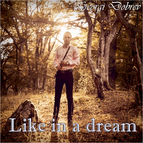 Like in a Dream