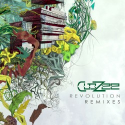 Revolution Remixes