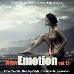 New Emotion, Volume 13