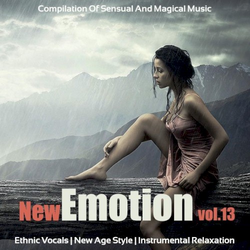New Emotion, Volume 13