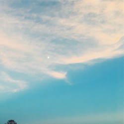 Hayama Ambient 006