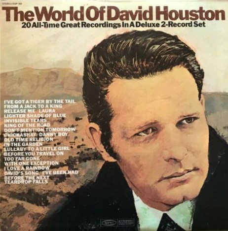 The World Of David Houston