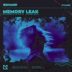 Memory Leak
