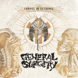 Corpus in Extremis: Analysing Necrocriticism