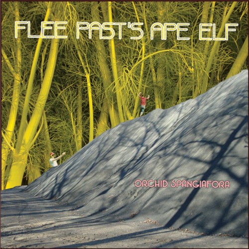 Flee Past’s Ape Elf