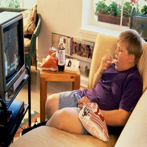 Watching Crackers and Eating TV