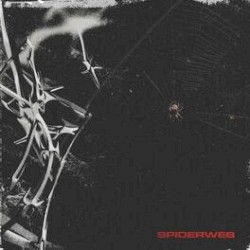 Spiderweb