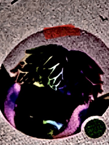 sxiences