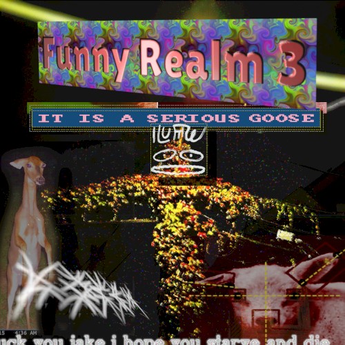 Funny Realm 3: It Is A Serious Goose