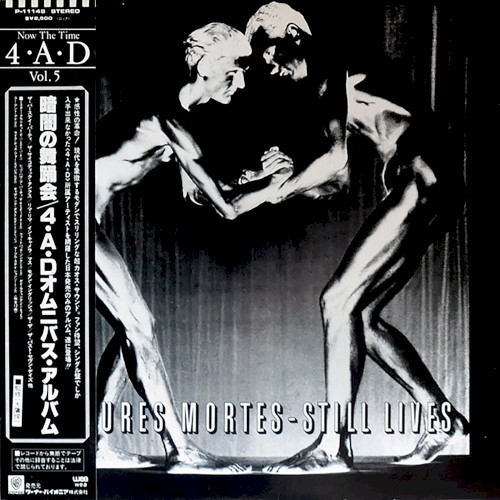 Natures Mortes – Still Lives